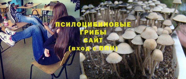 винт Ачинск