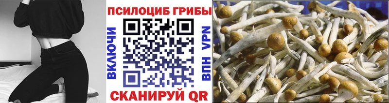 наркотики  Лянтор  мега рабочий сайт  Галлюциногенные грибы прущие грибы 