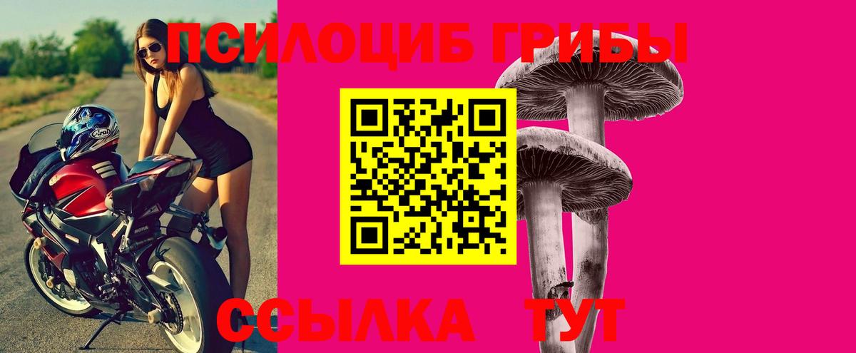 Лянтор  Псилоцибиновые грибы прущие грибы  Вход с VPN 